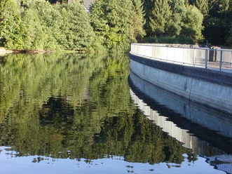 Blick auf die Jubachtalsperre mit Sperrmauer. Am rechten Rand befindet sich die Mauer. Im Wasser spiegelt sich der Wald, der im Hintergrund zu sehen ist.
