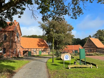 Noltesche Mühle Bruchhausen-Vilsen (5).jpg Historische Backsteinmühle in Bruchhausen-Vilsen mit Nebengebäuden und Sitzbereich unter Bäumen.