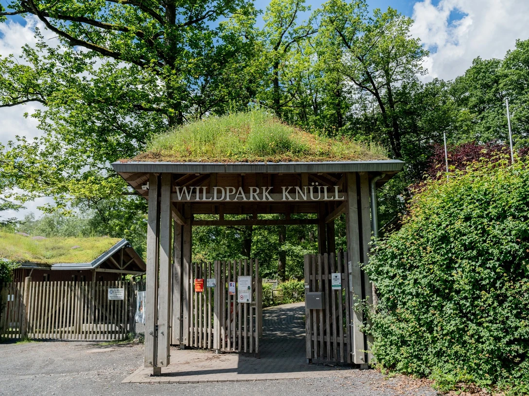 Wildpark Knüll