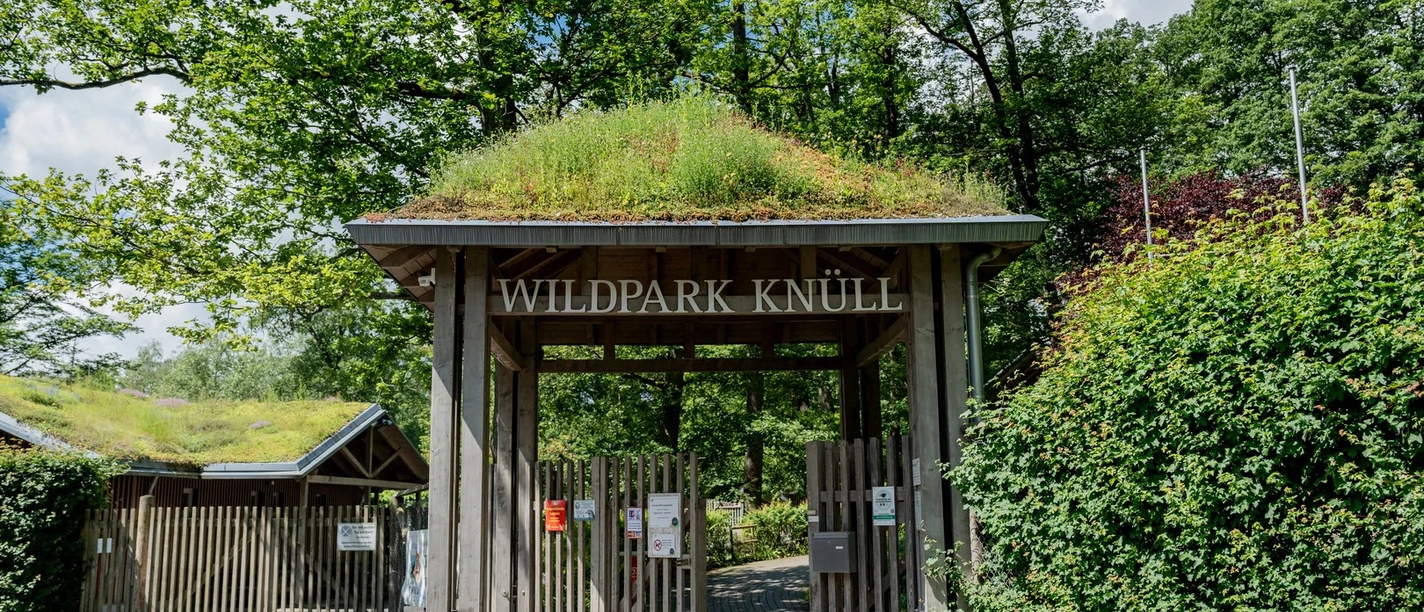 Wildpark Knüll