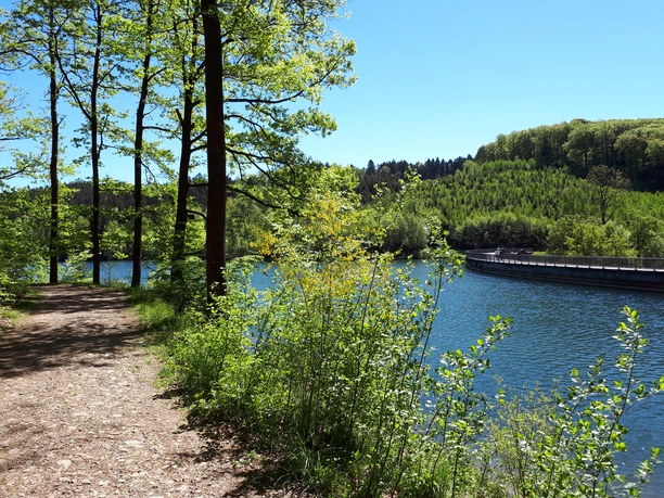 Blick auf das blaue Wasser der Jubachtalsperre mit Staumauer. Links ein Fußweg begrenzt von Büschen und Bäumen. Am gegenüberliegenden Ufer befindet sich Wald. Der Himmel ist hellblau.