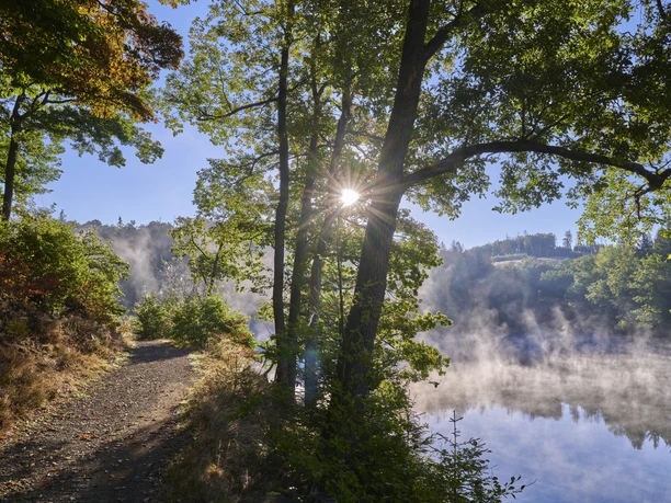 Herbstmorgen an der Jubachtalsperre. Fußweg begrenzt von Bäumen und Büschen. Sonne schein durch die Bäume. Auf dem Wasser Nebelschwaden.