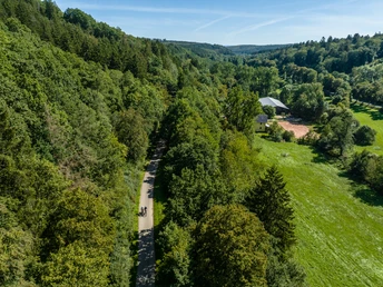 Schöner Blick auf den Wald