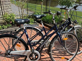 Auf Wunsch stehen 2 Fahrräder zur Verfügung