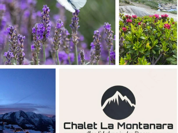 Postkarte LA Montanara