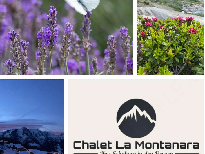 Postkarte LA Montanara