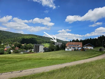 Im Appartement Kurhaus Obertal, Blick vom Wanderwe