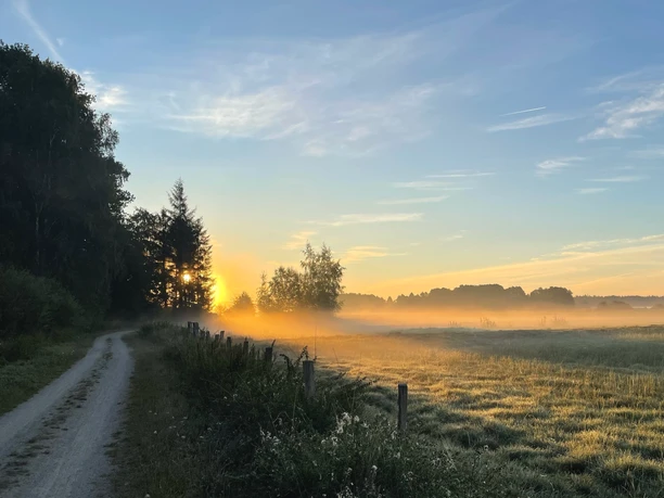 Sonnenaufgang in der Hammeniederung