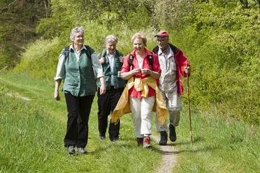 Wandern in Oberpilghausen-Weiden <p>Vier ältere Wanderer spazieren fröhlich auf einem Waldweg, umgeben von Frühlingsgrün.</p>