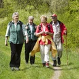 Wandern in Oberpilghausen-Weiden <p>Vier ältere Wanderer spazieren fröhlich auf einem Waldweg, umgeben von Frühlingsgrün.</p>