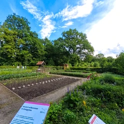 Der Kräutergarten der Biologischen Station Nordholz mit üppigem Grün, Kräuterbeeten und Schautafeln.