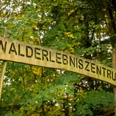 Walderlebniszentrum Leupoldishain Holzschild mit der Aufschrift "Walderlebniszentrum" vor einem Hintergrund aus grünen und gelben Blättern im Wald.