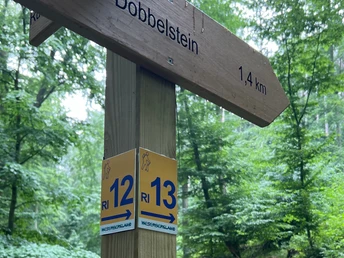 RI13 Hünenburg Route Wanderpfeiler