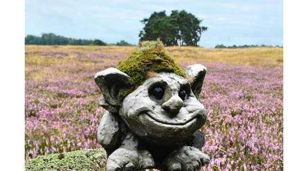 Steentrol Skipp in de Lüneburger Heide