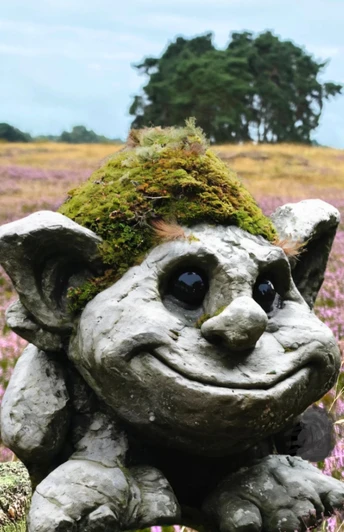 Steintroll Skipp in der Lüneburger Heide