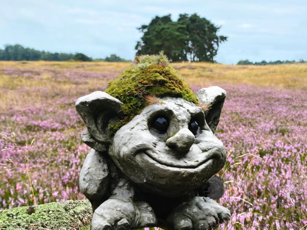 Steentrol Skipp in de Lüneburger Heide