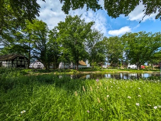 Grüner Teich umgeben von Bäumen, Fachwerkhäuser im Hintergrund, mit wolkigem Himmel und Blumen.