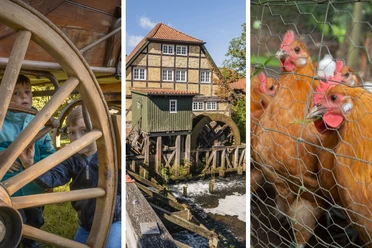 Von Wagenrädern, Wasserkraft und Landwirtschaft, 18.8., Bild FLMK