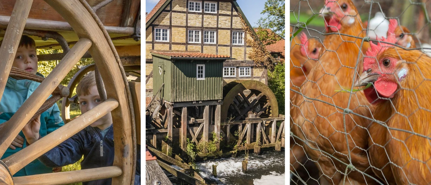 Von Wagenrädern, Wasserkraft und Landwirtschaft, 18.8., Bild FLMK