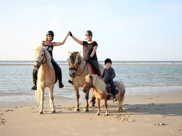 reiten auf Juist für Groß und Klein