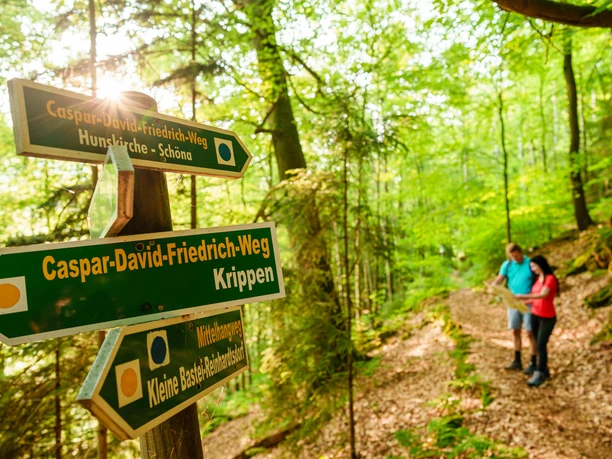 Signpost in the forest showing the Caspar-David-Friedrich-Weg, in the background two people with a map, sunlight shining through the trees.
