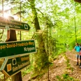 Caspar David Friedrich Weg am Mittelhangweg Wegweiser im Wald zeigt den Caspar-David-Friedrich-Weg, im Hintergrund zwei Personen mit Karte, Sonnenlicht scheint durch die Bäume.
