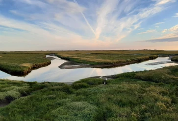 Salzwiesen St. Peter-Ording