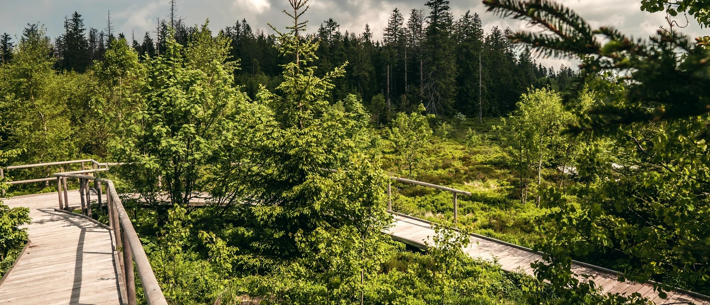 Unterwegs auf dem Lotharpfad
