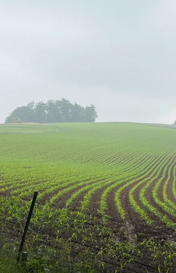 RI14 Rumbecker Berg Route Feld