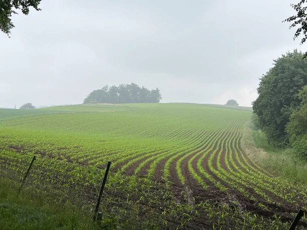 RI14 Rumbecker Berg Route Feld