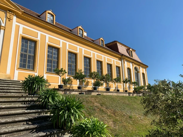 View of the orangery building Yellow baroque building of the Grosssedlitz Baroque Garden with large windows, flanked by plants on a staircase, under a clear blue sky.