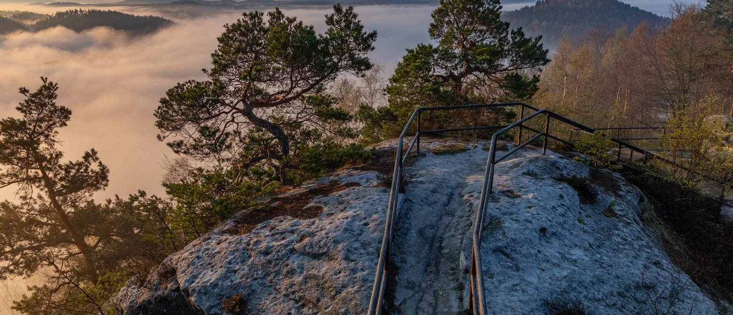 Aussicht von der Kaiserkrone Rocky plateau with viewing platform, surrounded by fog, trees and vast landscape in the background.