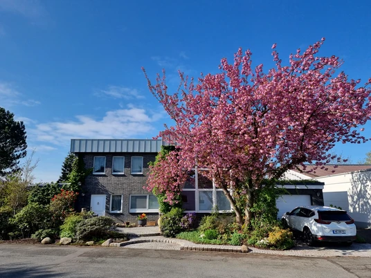 Die Villa Mettmann Zweistöckiges Wohnhaus mit Backsteinfassade, umgeben von blühendem Kirschbaum unter strahlend blauem Himmel.