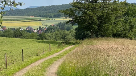 RI17 Friedrichswald Route Feldweg