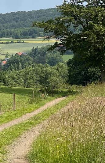 RI17 Friedrichswald Route Feldweg