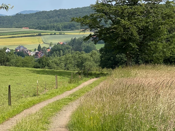 RI17 Friedrichswald Route Feldweg