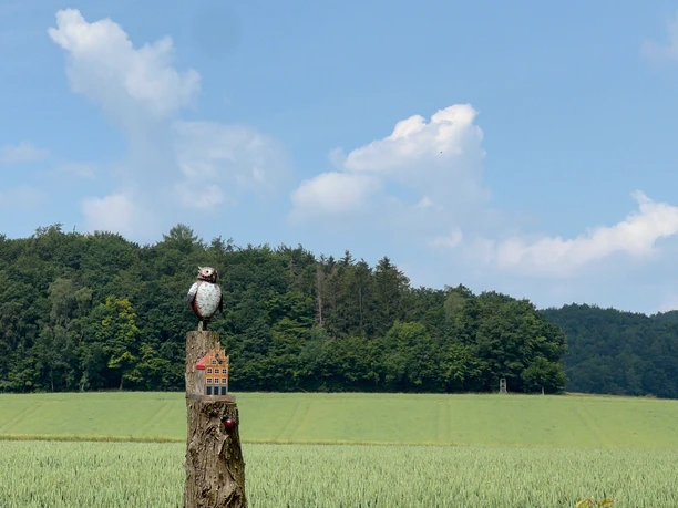 RI18 Friedrichsburg Route Eule auf Holzpfal