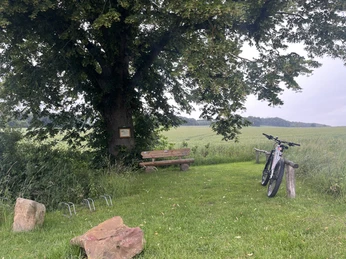 Panoramaweg, Wanderweg, Fahrradrastplatz Avendshausen ©Einbeck Tourismus.jpeg