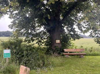 Panoramaweg, Wanderweg, Fahrradrastplatz Avendshausen 2 ©Einbeck Tourismus.jpeg