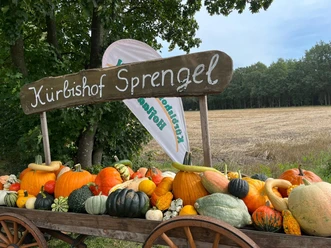 Kürbishof Sprengel