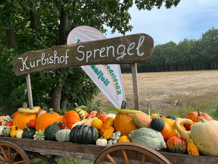 Kürbishof Sprengel