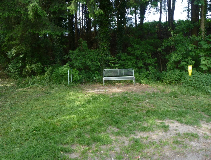 Parkbank vor einem dichten Wald, umgeben von grünen Bäumen und Gras, lädt zur kurzen Rast ein.