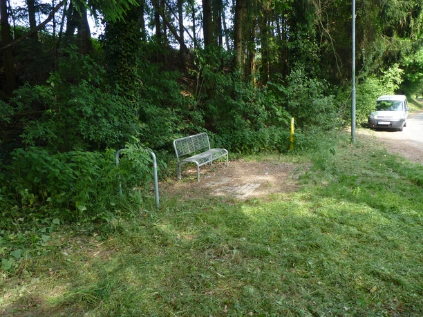 Eine freistehende Bank neben einem Waldweg, umgeben von dichtem, grünem Laubwerk.