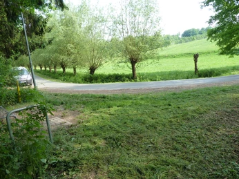 Kurvige Landstraße gesäumt von Bäumen auf grüner Wiese unter blauem Himmel, im Vordergrund Schatten.