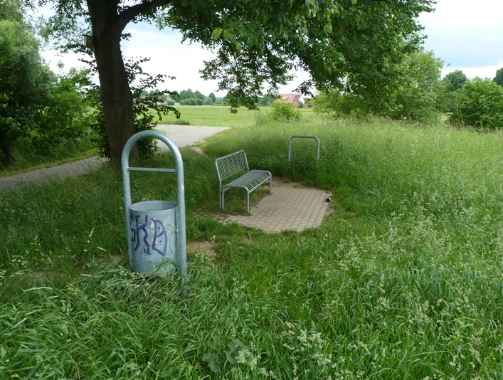 Eine einsame Parkbank auf einer kleinen gepflasterten Fläche, umgeben von hohem Gras und einem Plastikmülleimer.