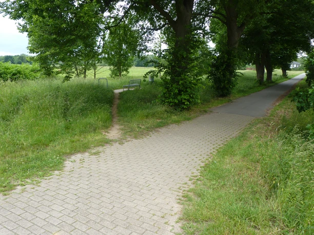Ein gepflasterter Weg verläuft durch eine grüne Landschaft mit Bäumen und einer Bank am Wegrand.