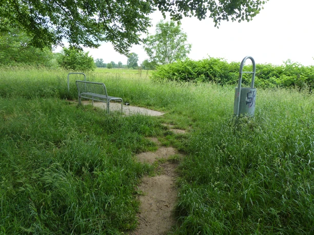 Eine einfache Sitzbank steht inmitten von hohem Gras auf einem Feldweg, umgeben von Bäumen und Büschen.