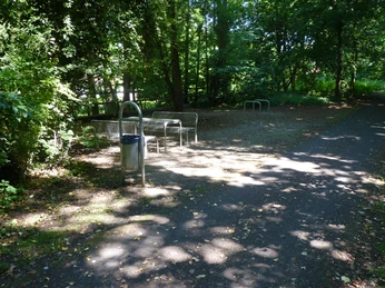Ein lichter Waldweg mit Parkbänken und Mülleimer, von Sonnenlicht durch die Bäume beleuchtet.