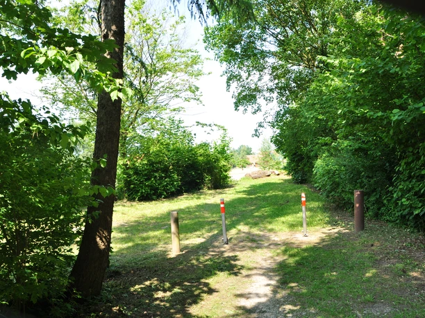 DSC_0439.JPG Waldweg mit Begrenzungspfosten, umgeben von üppigem Grün mit Bäumen und Büschen bei Tageslicht.