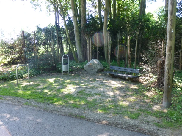 P1120361.JPG Ein schattiger Rastplatz mit Bank und Mülleimer, umgeben von Bäumen und Sträuchern am Wegesrand.